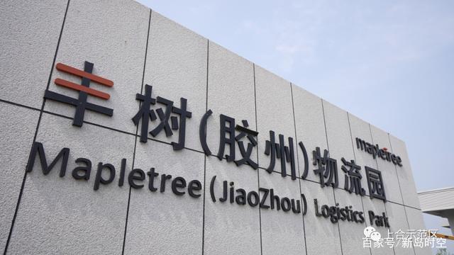 最新建设进展！上合新加坡丰树物流园与金控数码保税贸易港项目冷链物流信息咨询发布