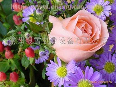 鲜花、花卉冷库,冷库,保鲜库,鲜花、花卉冷库(中国 江苏常州)-常州银雪制冷设备